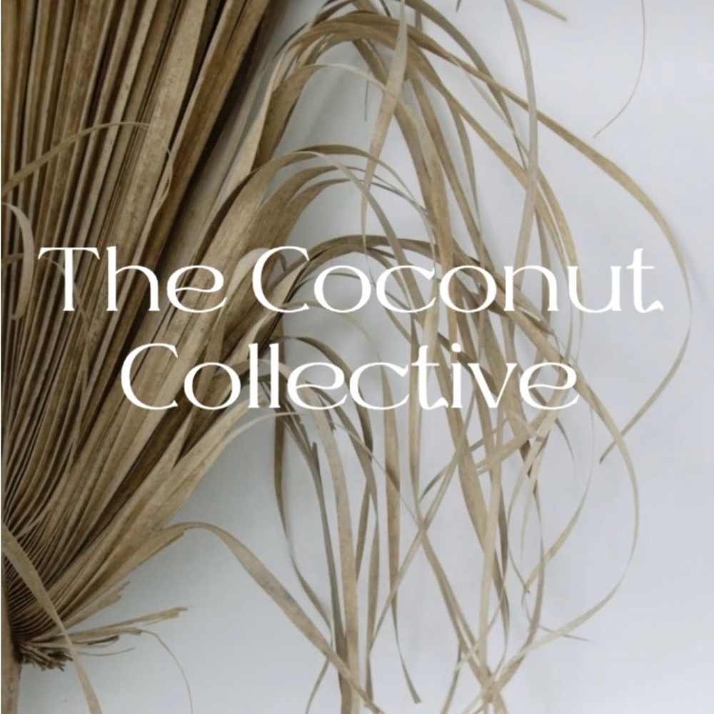 The Coconut Collective Aloha Drupe Shell Gold Earrings NWT! - Picture 2 of 2